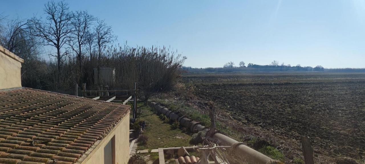 Appartement Au Coeur Des Rizieres Salin-de-Giraud Zewnętrze zdjęcie
