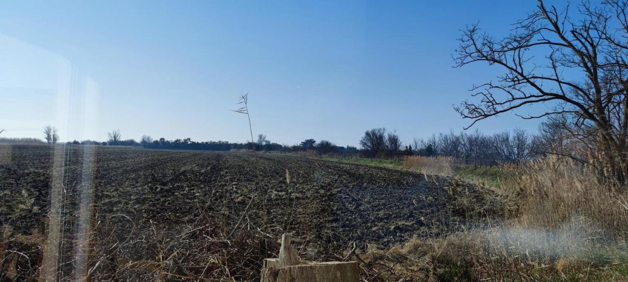Appartement Au Coeur Des Rizieres Salin-de-Giraud Zewnętrze zdjęcie