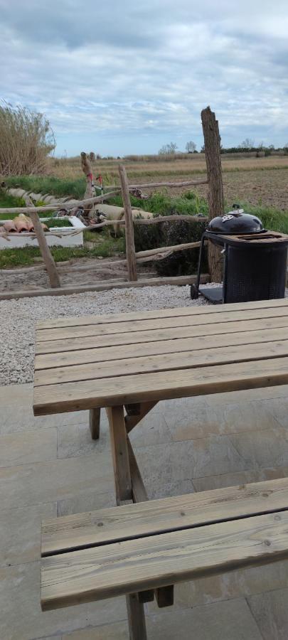 Appartement Au Coeur Des Rizieres Salin-de-Giraud Zewnętrze zdjęcie